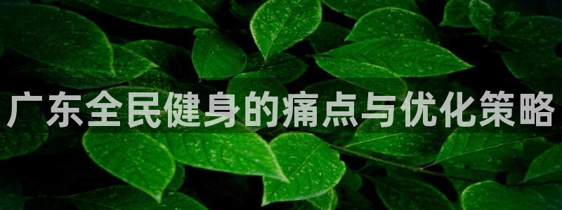 尊龙凯时集团：广东全民健身的痛点与优化策略