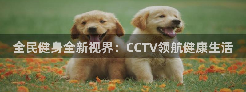 尊龙人生就是博旧：全民健身全新视界：CCTV领航健康生活